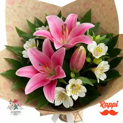 Toque Silvestre Rosado