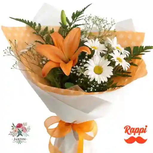 Blanco Y Naranja Alegre