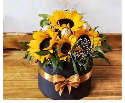Girasoles Maria Luisa