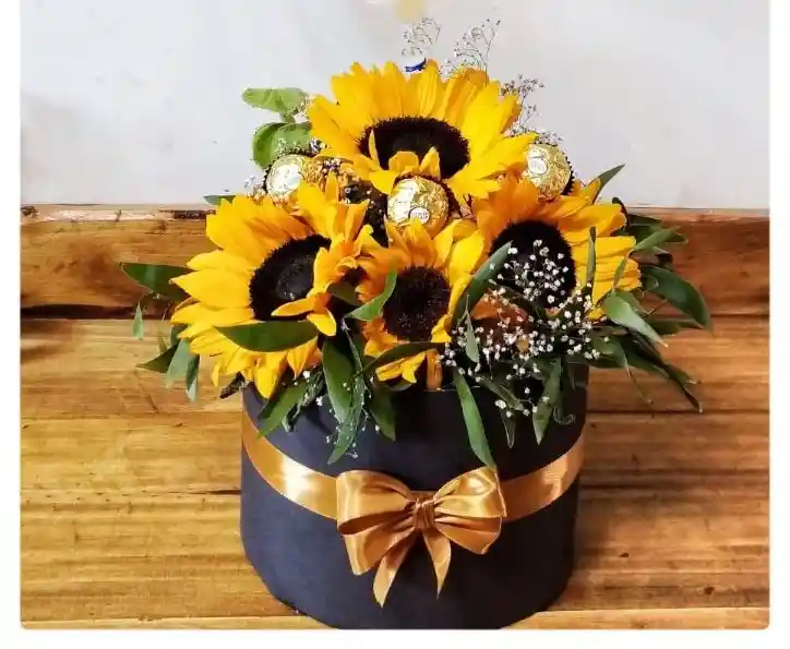 Girasoles Maria Luisa