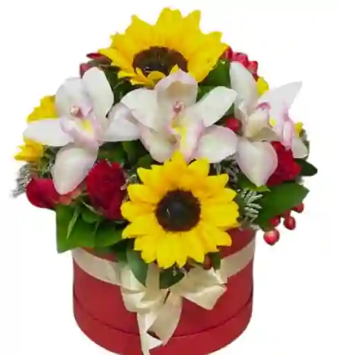 Flores Girasoles Y Orquideas