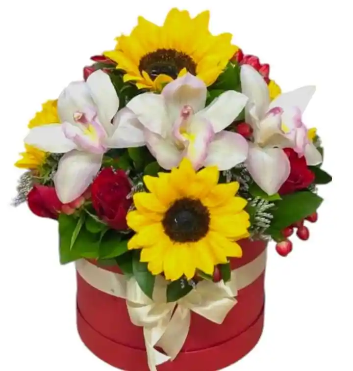 Flores Girasoles Y Orquideas