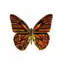 Juego Didáctico Stickers Mariposas Para Rascar Niños