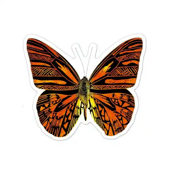 Juego Didáctico Stickers Mariposas Para Rascar Niños