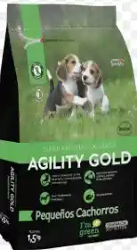 Agility Gold