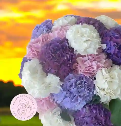 Flores Sinfonía De Hortensias