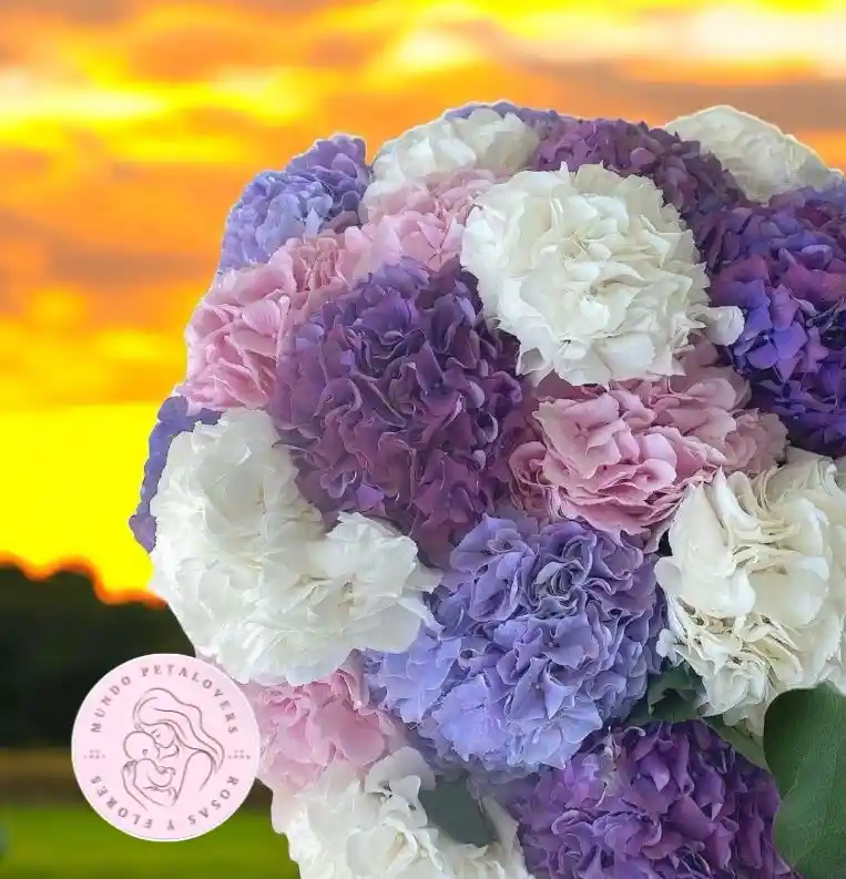 Flores Sinfonía De Hortensias