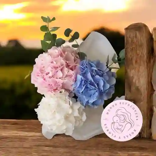 Flores Hortensias Surtidas