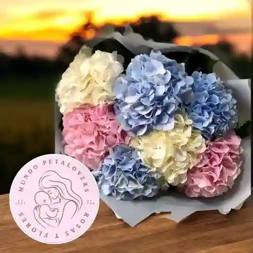 Flores Hortensias Surtidas 7 Unidades