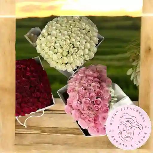 Flores Arreglo De 75 Rosas Segun Tu Eleccion Rojo, Rosado O Blanco