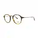 Gafas De Sol Ray Ban Round Vintage Rb2447v 5493 Color Havana Talla 49mm