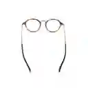 Gafas De Sol Ray Ban Round Vintage Rb2447v 5493 Color Havana Talla 49mm