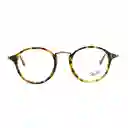 Gafas De Sol Ray Ban Round Vintage Rb2447v 5493 Color Havana Talla 49mm