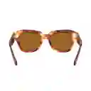 Gafas De Sol Ray Ban State Street Rb2186 954/33 Marrón Habana Talla 49mm