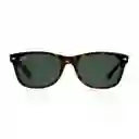 Gafas De Sol Ray Ban New Wayfarer Rb2132 902l Color Marron Talla 55mm