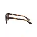 Gafas De Sol Ray Ban Blaze Meteor Rb4368n 710/13 Color Marron Talla 39mm