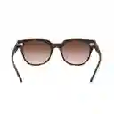 Gafas De Sol Ray Ban Blaze Meteor Rb4368n 710/13 Color Marron Talla 39mm