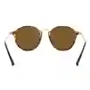 Gafas De Sol Ray Ban Round Fleck Rb2447 1160 Color Marron Talla 49mm
