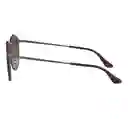 Gafas De Sol Ray Ban Blaze Round Rb3574n 004/13 Color Marron Talla 59mm