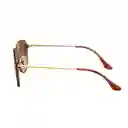 Gafas De Sol Ray Ban Blaze Double Bridge Rb4292n 710/13 Color Marron Talla 61mm
