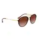 Gafas De Sol Ray Ban Blaze Double Bridge Rb4292n 710/13 Color Marron Talla 61mm