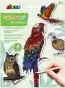 Juego Didáctico Stickers Aves Rascar Divertidos Para Niños