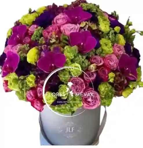 Flores Moradas En Burbuja.