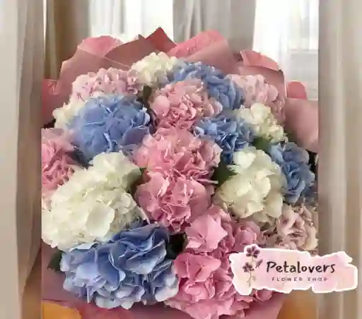 Flores Detalle De 17 Hortensias Surtidas