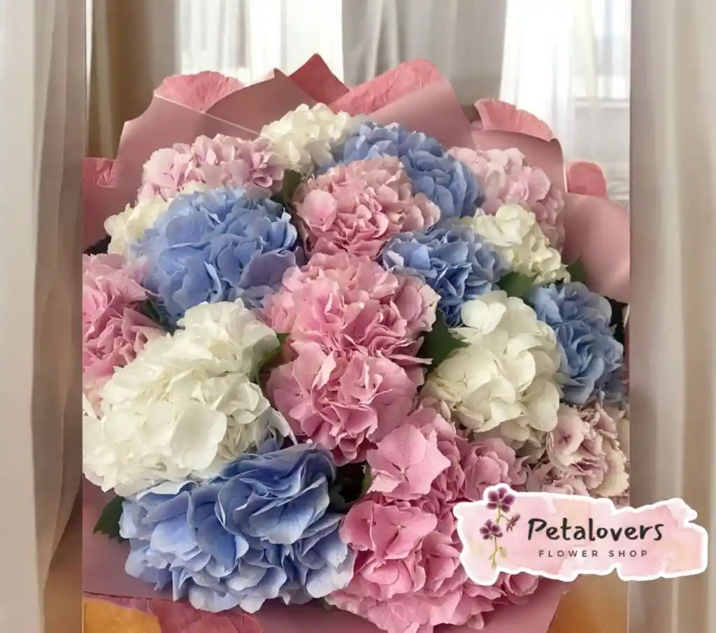 Flores Detalle De 17 Hortensias Surtidas