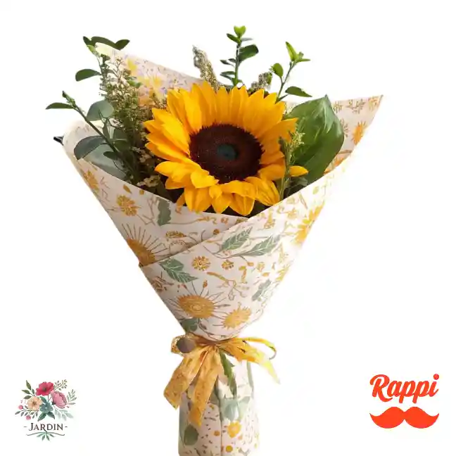 Girasol