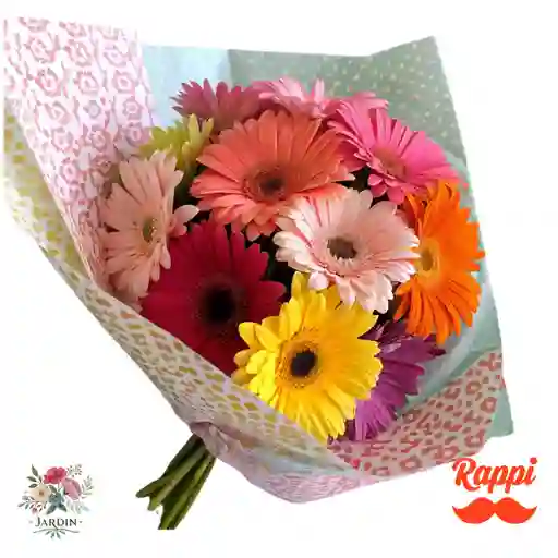 Gerberas