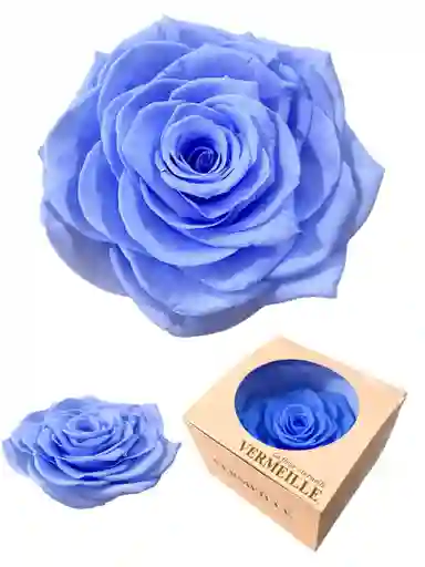 Regalo Especial Rosa Inmortalizada Azul - Flor De 8 Años - Rosas Amarillas - Dia De La Madre