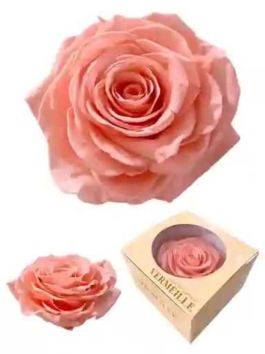 Regalo Especial Rosa Inmortalizada Rosada - Flor De 8 Años - Feliz Dia De La Madre
