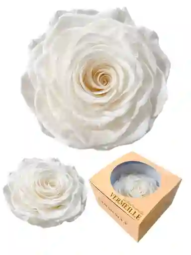 Regalo Especial Rosa Inmortalizada Blanca - Flor De 8 Años - Rosas Amarillas - Dia De La Madre