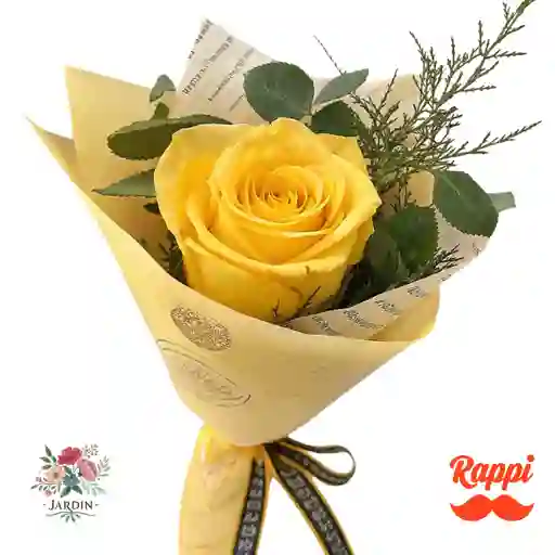 Rosa Amarilla X1