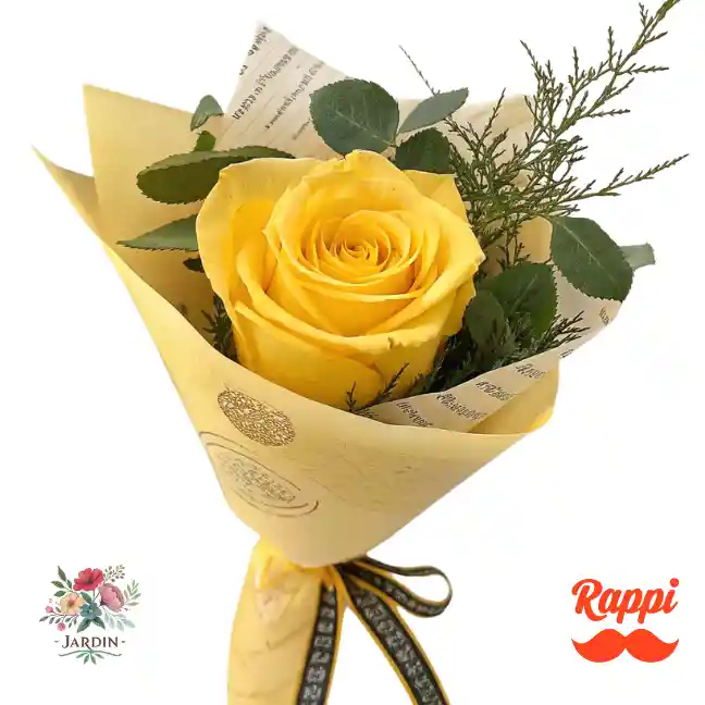 Rosa Amarilla X1