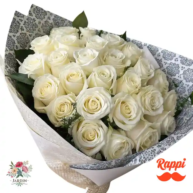 Rosa Blanca X48