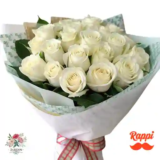 Rosa Blanca X24