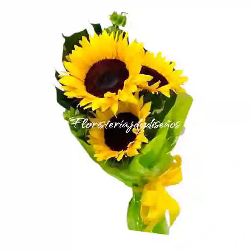 Brilla Con Girasoles