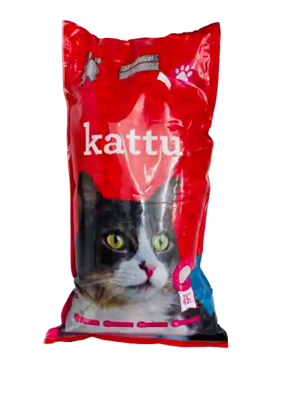 Arena Kattu Silvertalco