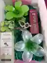 ¡cajita De Regalo Lista Para Sorprender!