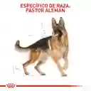 Royal Canin Perro Adulto Pastor Alemán 13kg