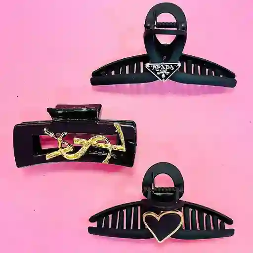Caiman Glamorous