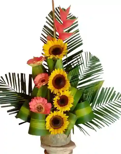 Armonia Floral