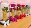 Rosa Preservada Con Virgen Y Luces