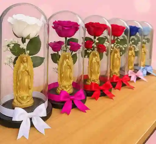 Rosa Preservada Con Virgen Y Luces