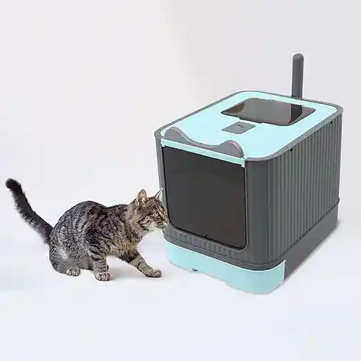 Caja De Arena Para Gatos Con Diseño Elegante Y Amplia Apertura, Azul