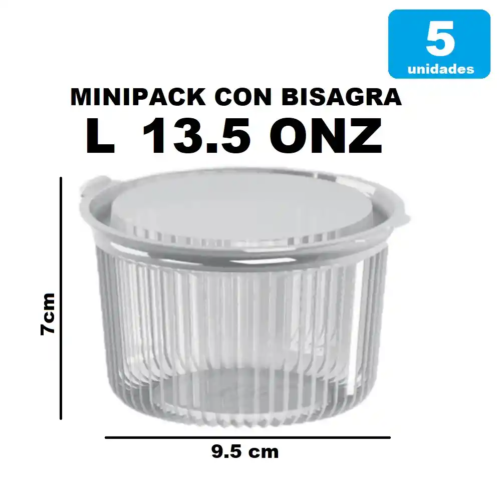 Contenedor Minipack Con Bisagra Pet Cristal Tamaño L X5und Darnel