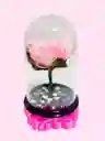 Regalo Especial Rosa Eterna Baby Rosada - Regalo Feliz Dia - Dia De La Mujer