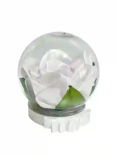 Regalo Especial Rosa Eterna Blanco - Regalo Feliz Dia - Dia Del Amor Y Amistad